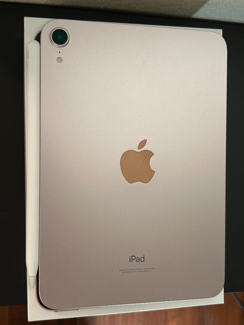 iPad mini (第6世代) 256GB Pencil 第2世代 セット