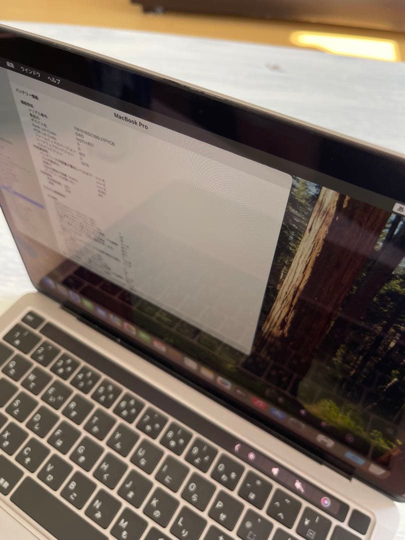 MacBook本体 MacBook Pro/16GB 1TB