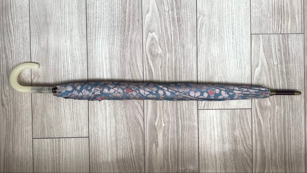 イイダ傘店　雨傘 野いちご ブルーベリー