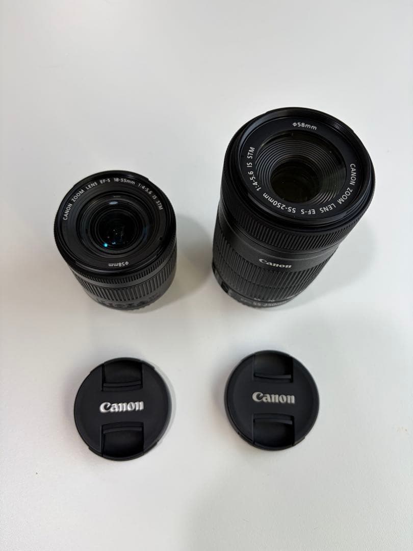 【美品】 Canon EOS Kiss X10 ダブルズームキット(バッグ付き)