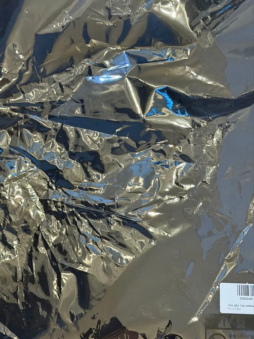 新品公式即完Da-ICE15周年黒T（L）ナチュラグアコツア黒T（M）2点セット