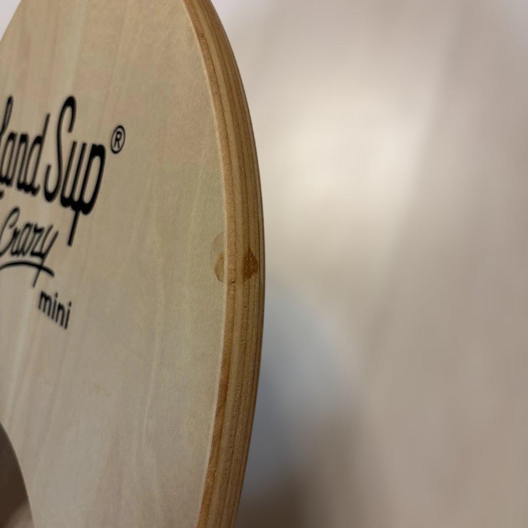 LandSup mini バランスボードセット