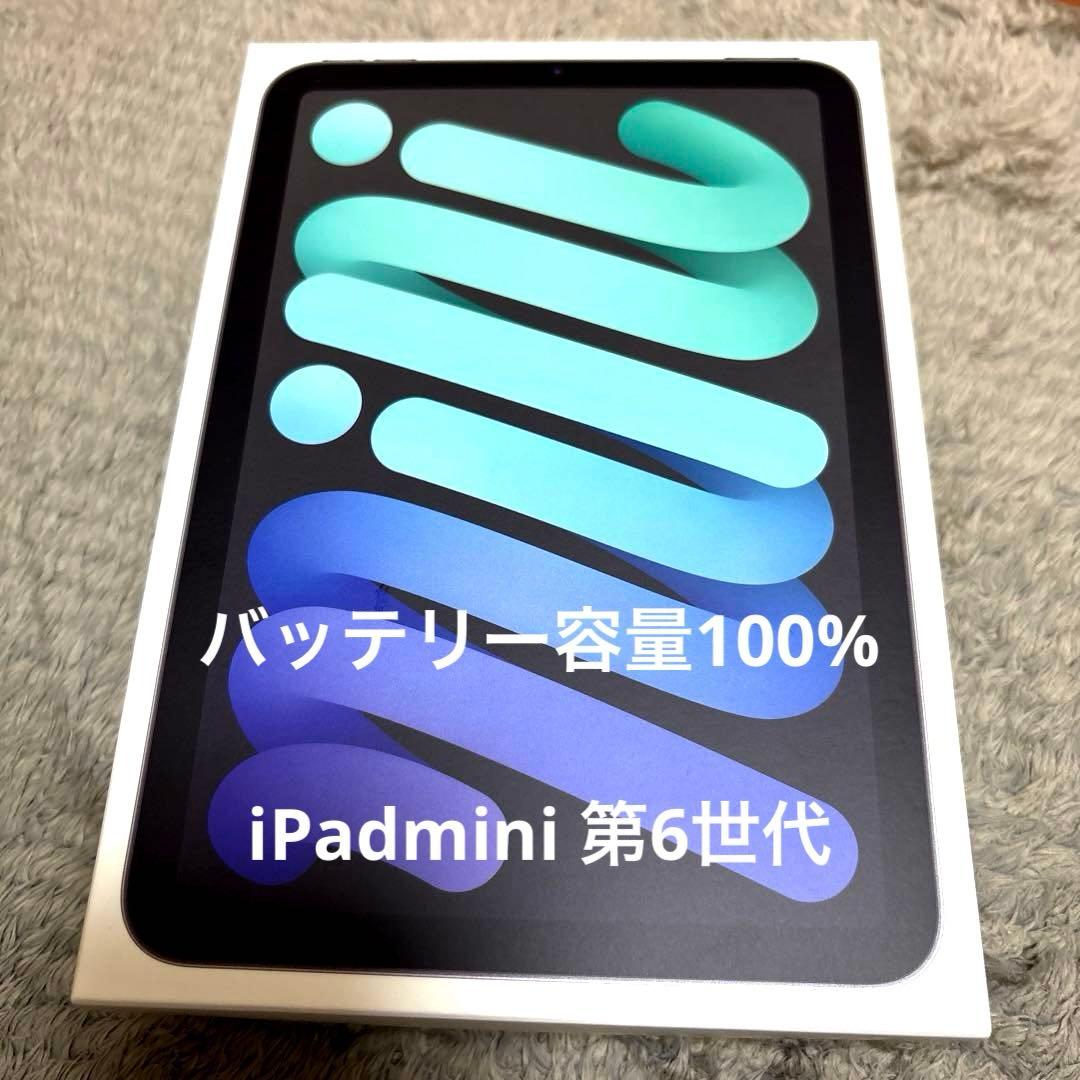 【バッテリー容量100%】 iPad mini 6 Wi-Fi 64GB