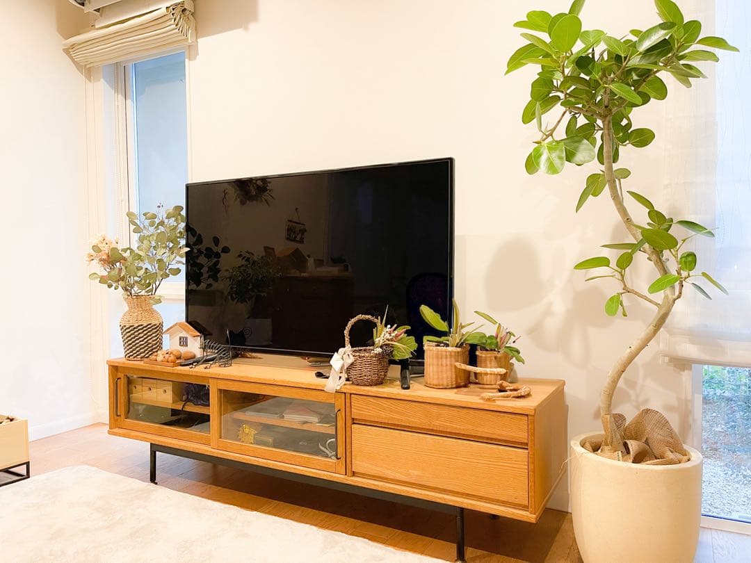 50V型 ULTRAHD TV 4K液晶テレビ LE-5050TS4K-BK