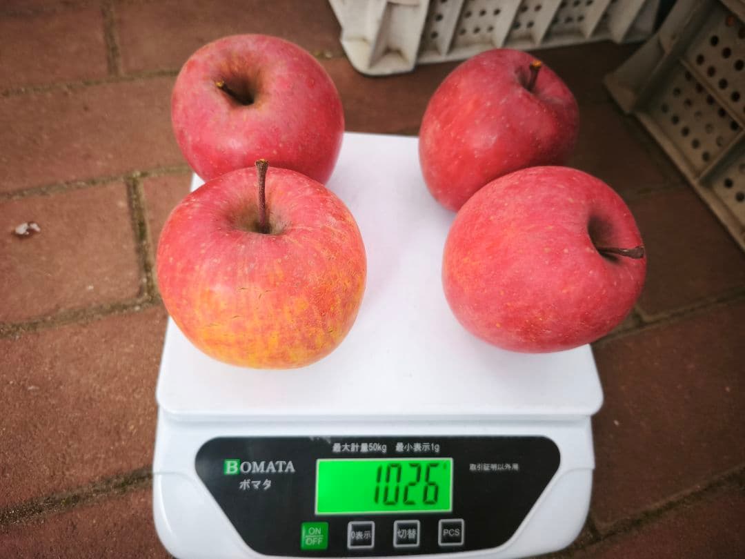 糖度21%！味は贈答用クラス15キロ【シャキシャキ】信州高山村産サンフジ