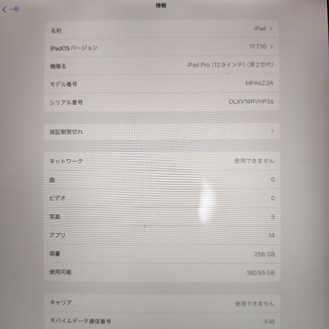 iPad Pro (12.9インチ 第2世代) 256GB