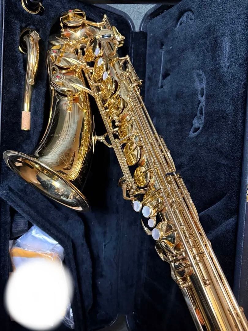 ヤナギサワ　アルトサックス　A901