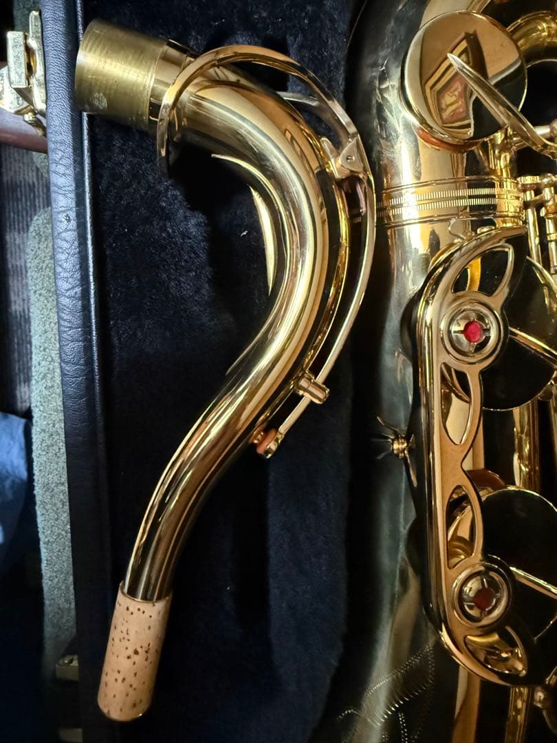 ヤナギサワ　アルトサックス　A901