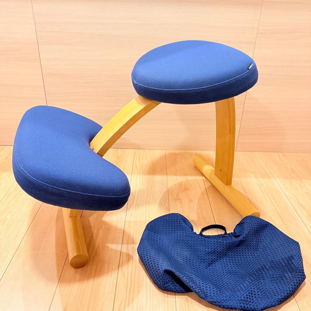 バランスイージー【Rybo balans EASY】サカモトハウス カバー有