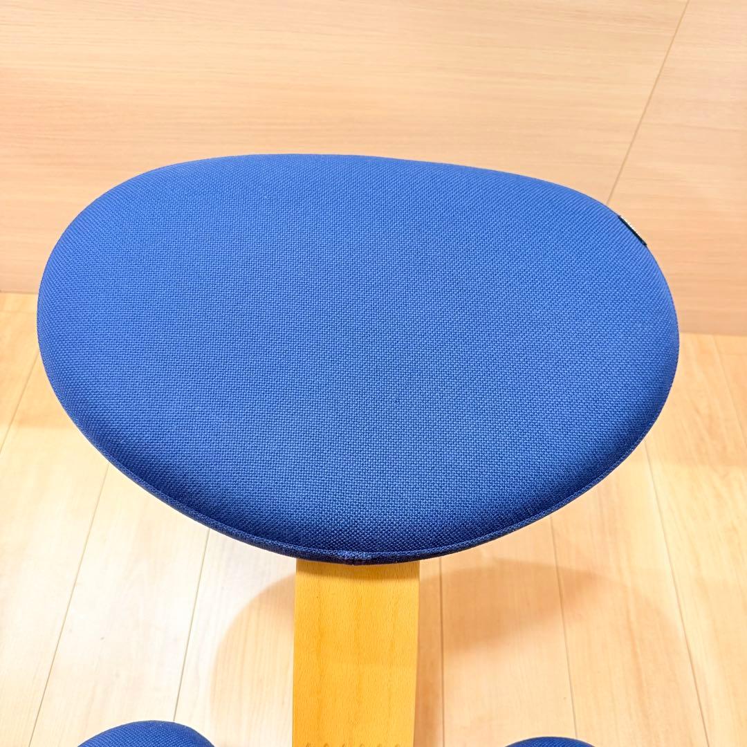 バランスイージー【Rybo balans EASY】サカモトハウス カバー有