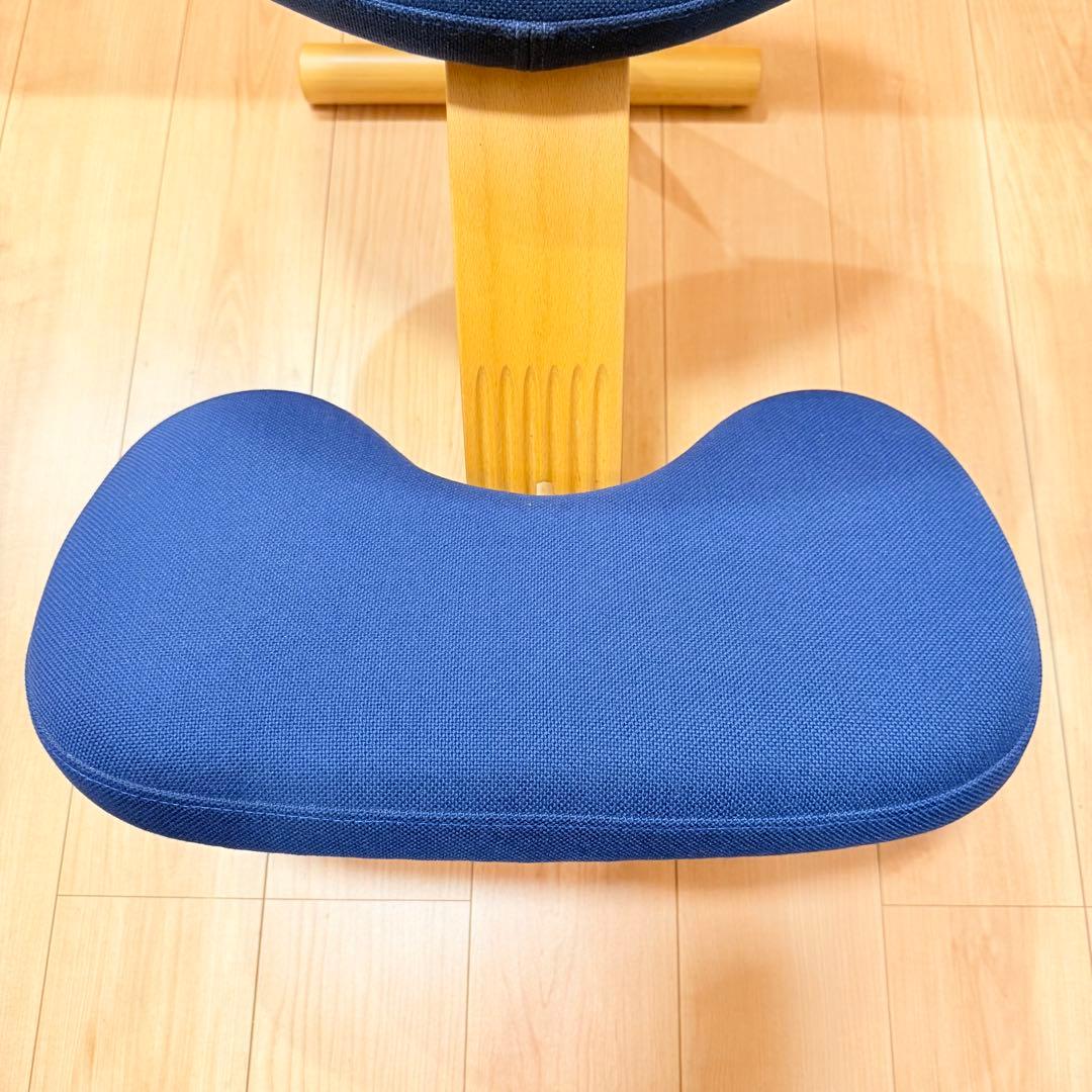 バランスイージー【Rybo balans EASY】サカモトハウス カバー有