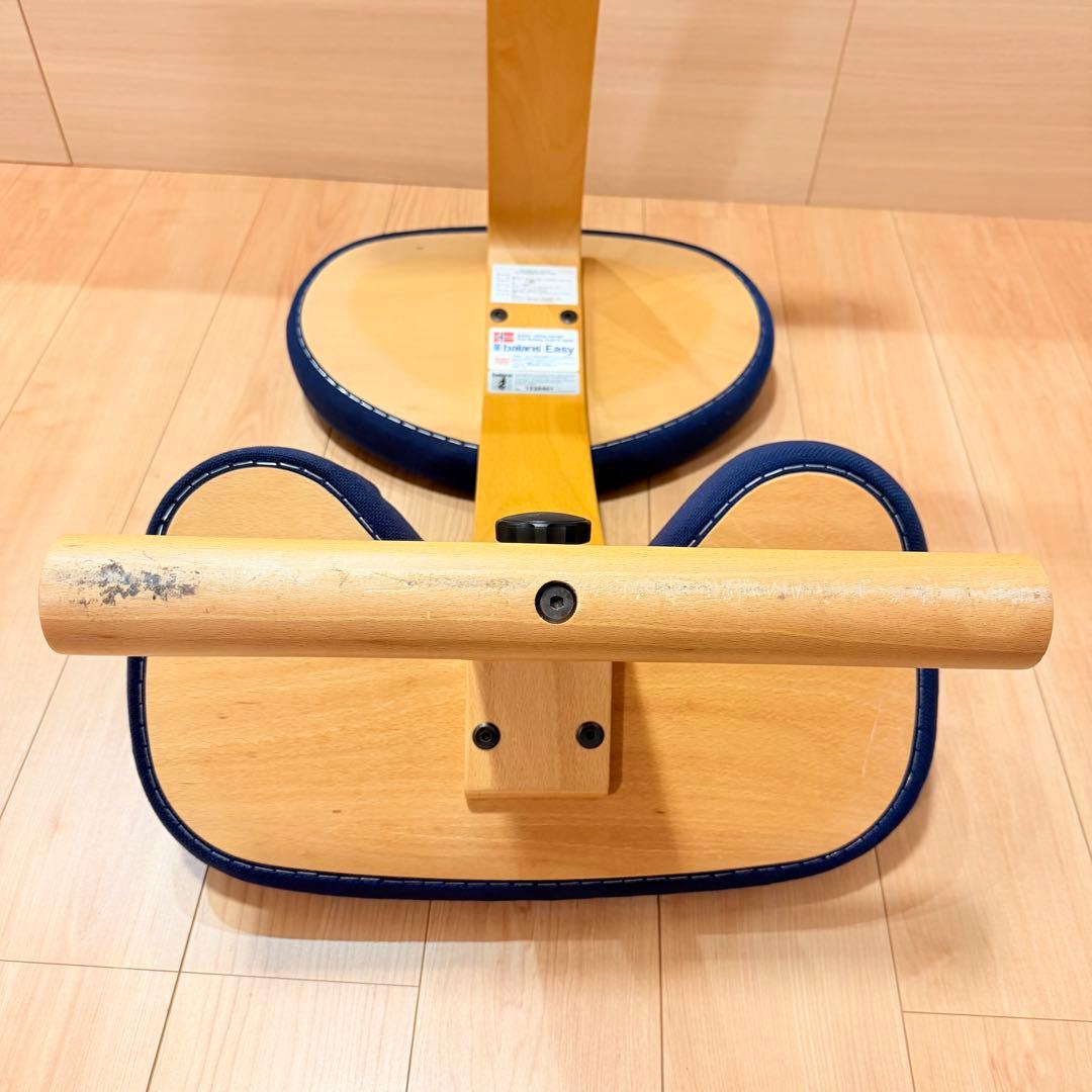 バランスイージー【Rybo balans EASY】サカモトハウス カバー有