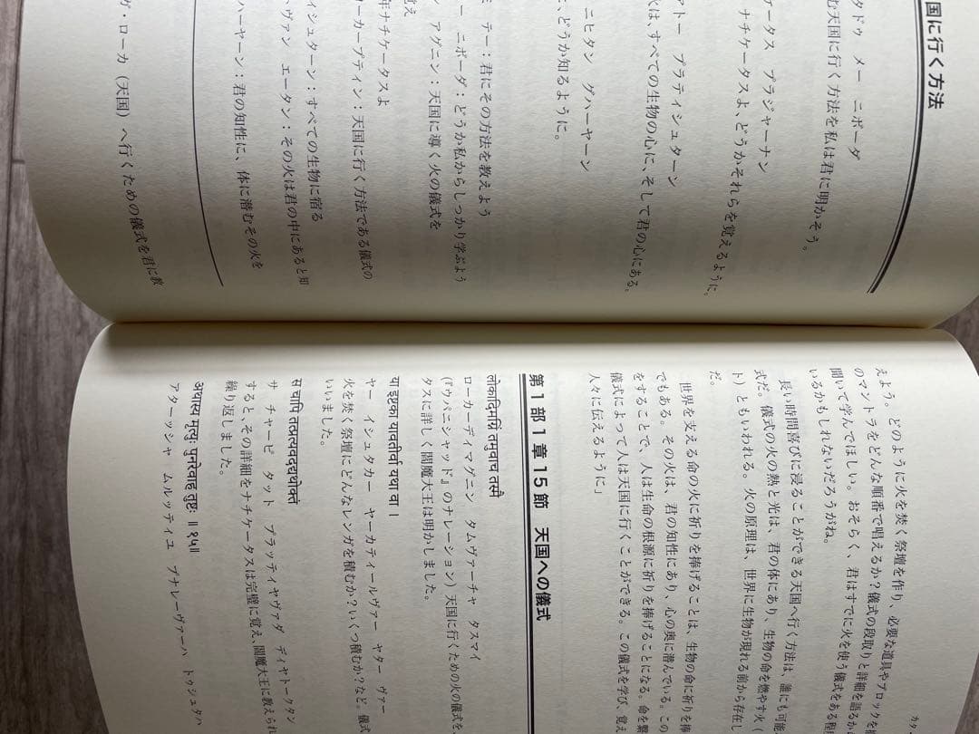 ヨーガ・ヴィッディヤー　YOGAの知恵　向井田みお