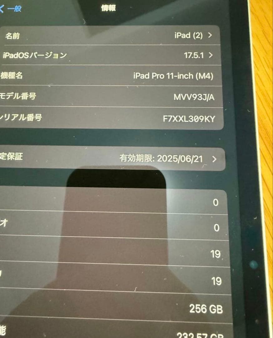iPad Pro 11in M4 256 WiFi bat100% アップル購入