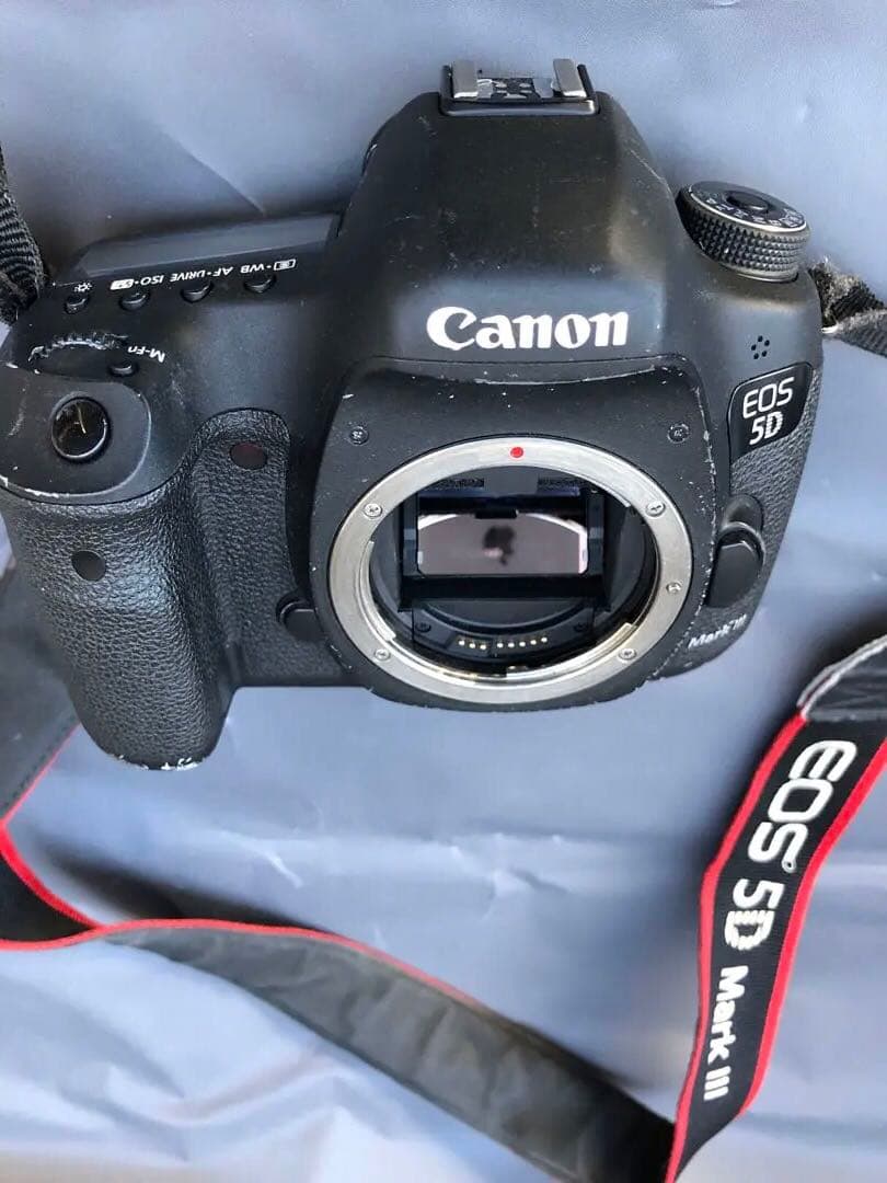 キヤノンEOS 5D Mark 3(D34)