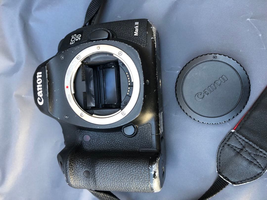 キヤノンEOS 5D Mark 3(D34)