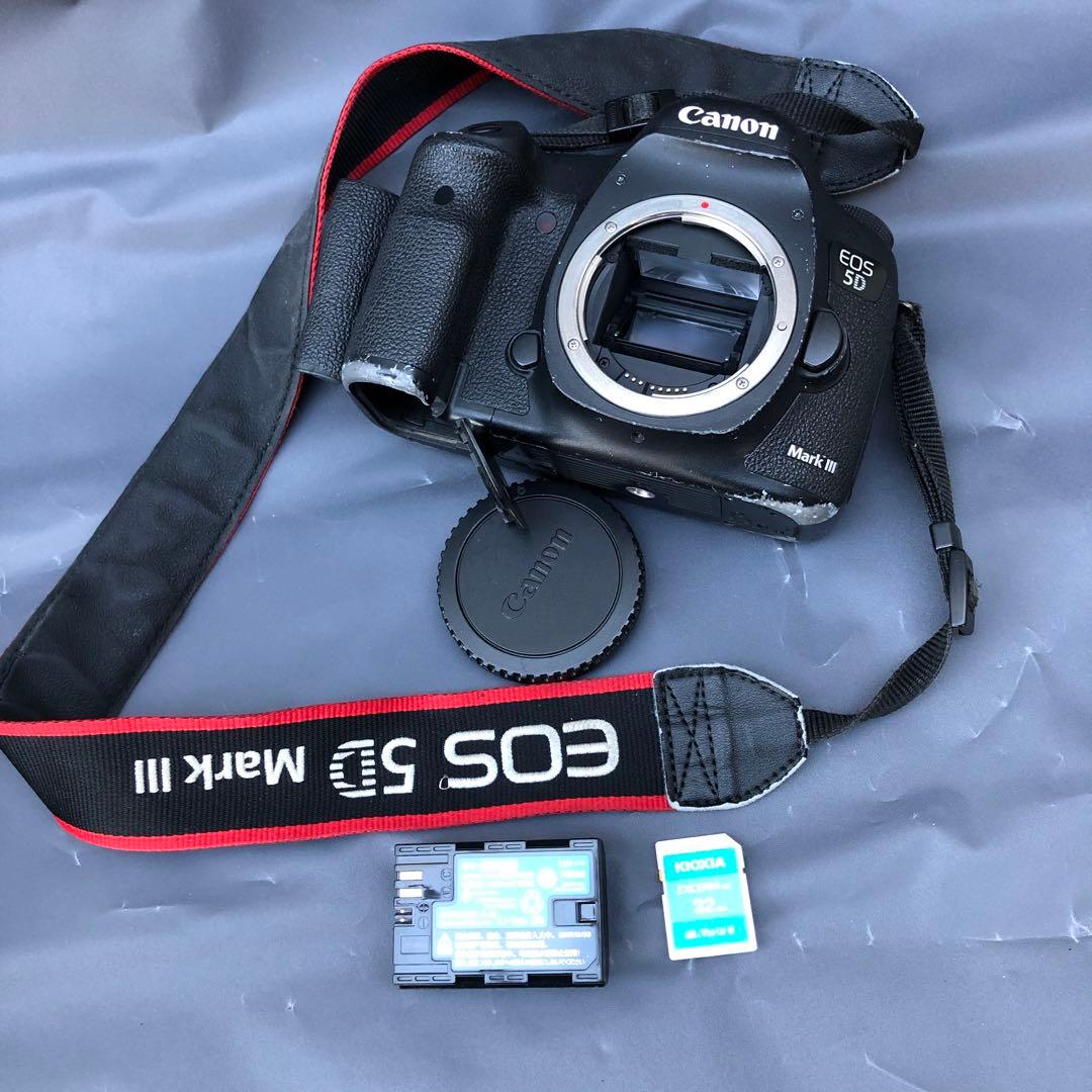 キヤノンEOS 5D Mark 3(D34)