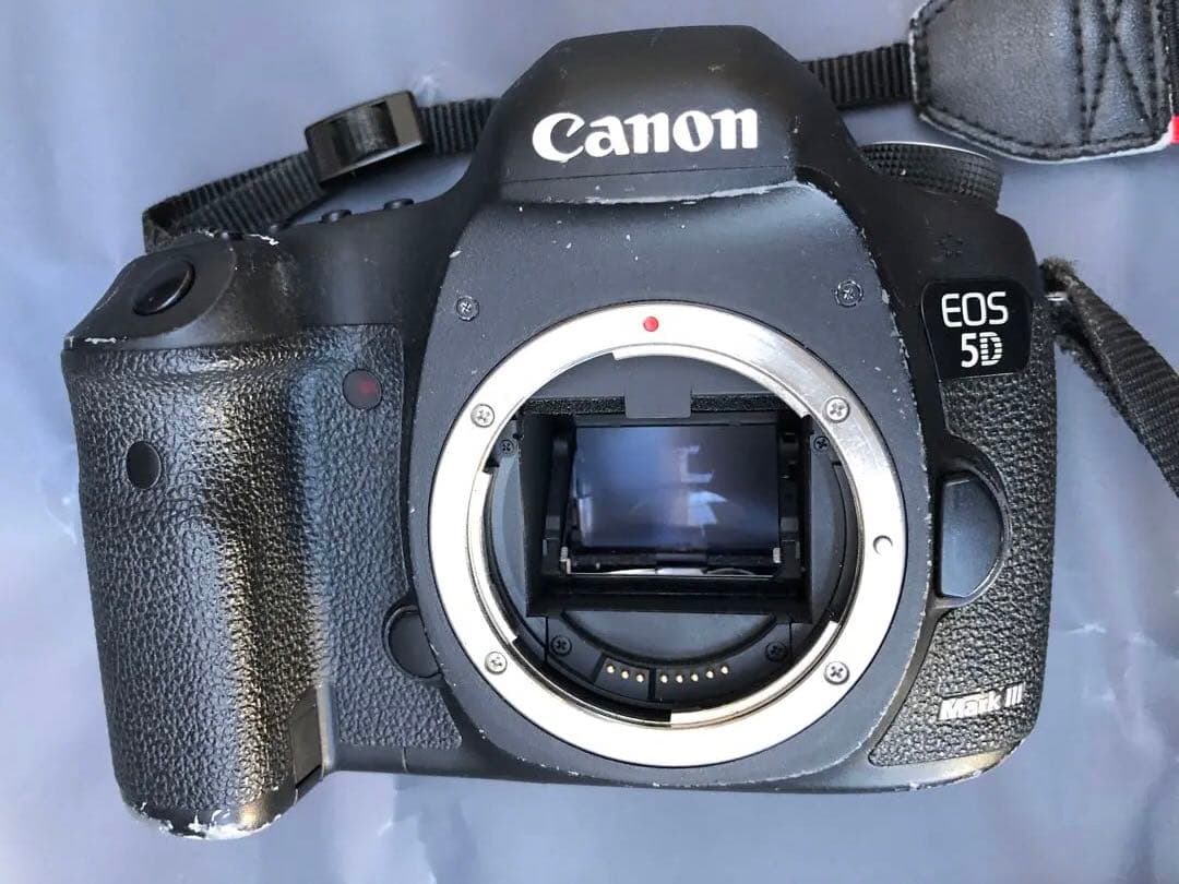 キヤノンEOS 5D Mark 3(D34)