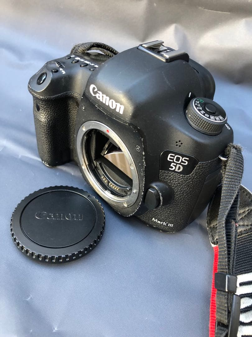 キヤノンEOS 5D Mark 3(D34)