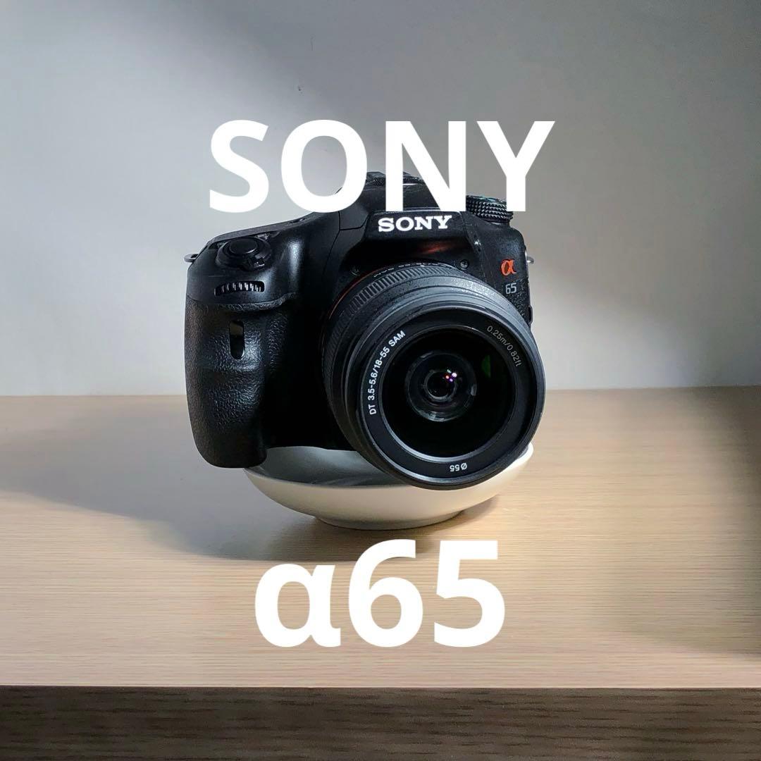 SONY α65 デジタル一眼レフカメラ