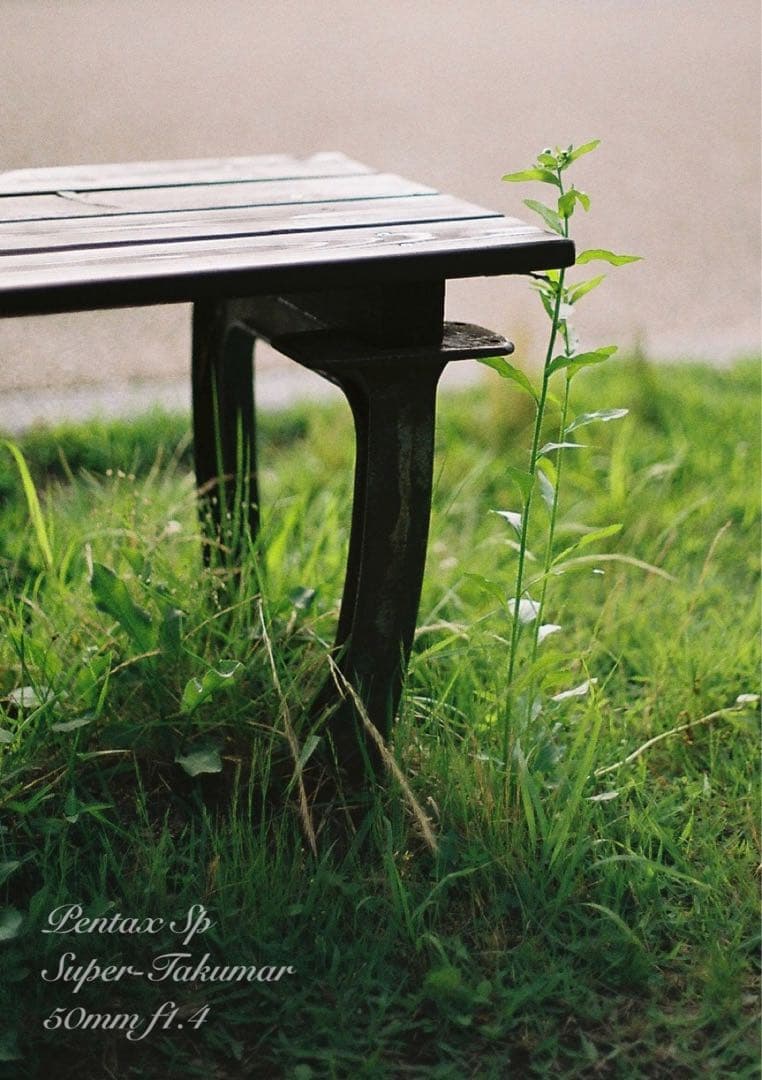 ★初期保証★pentax sp＊takumar f1.4★完動品＊良品＊作例多数