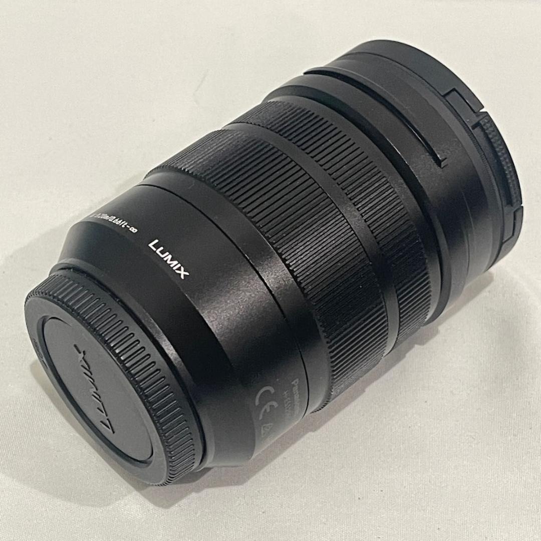 レンズ(ズーム) Panasonic H-ES12060 12-60mm LEICA DG