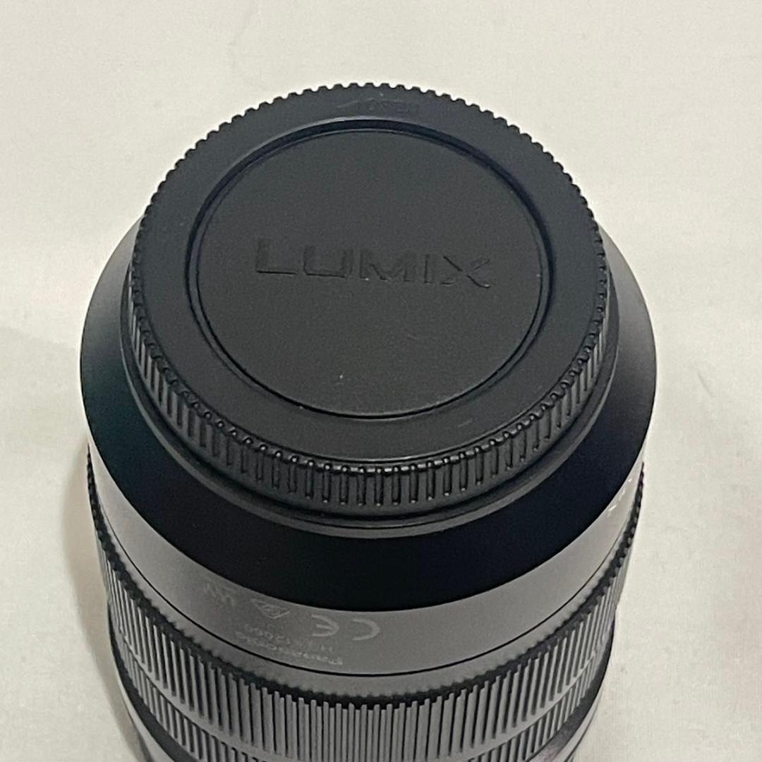 レンズ(ズーム) Panasonic H-ES12060 12-60mm LEICA DG