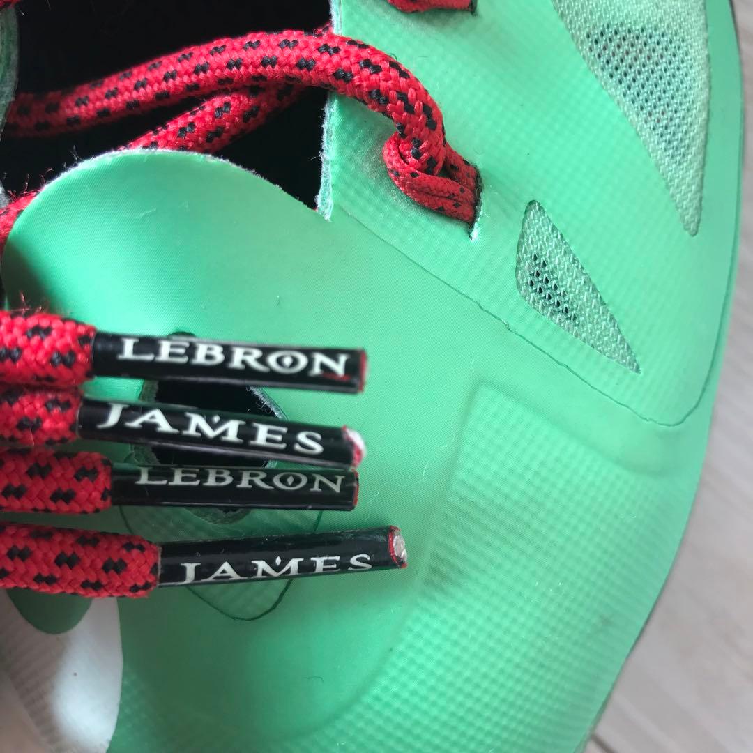 NIKE ナイキ28.5㎝　US10.5 レブロン10 中国限定モデル