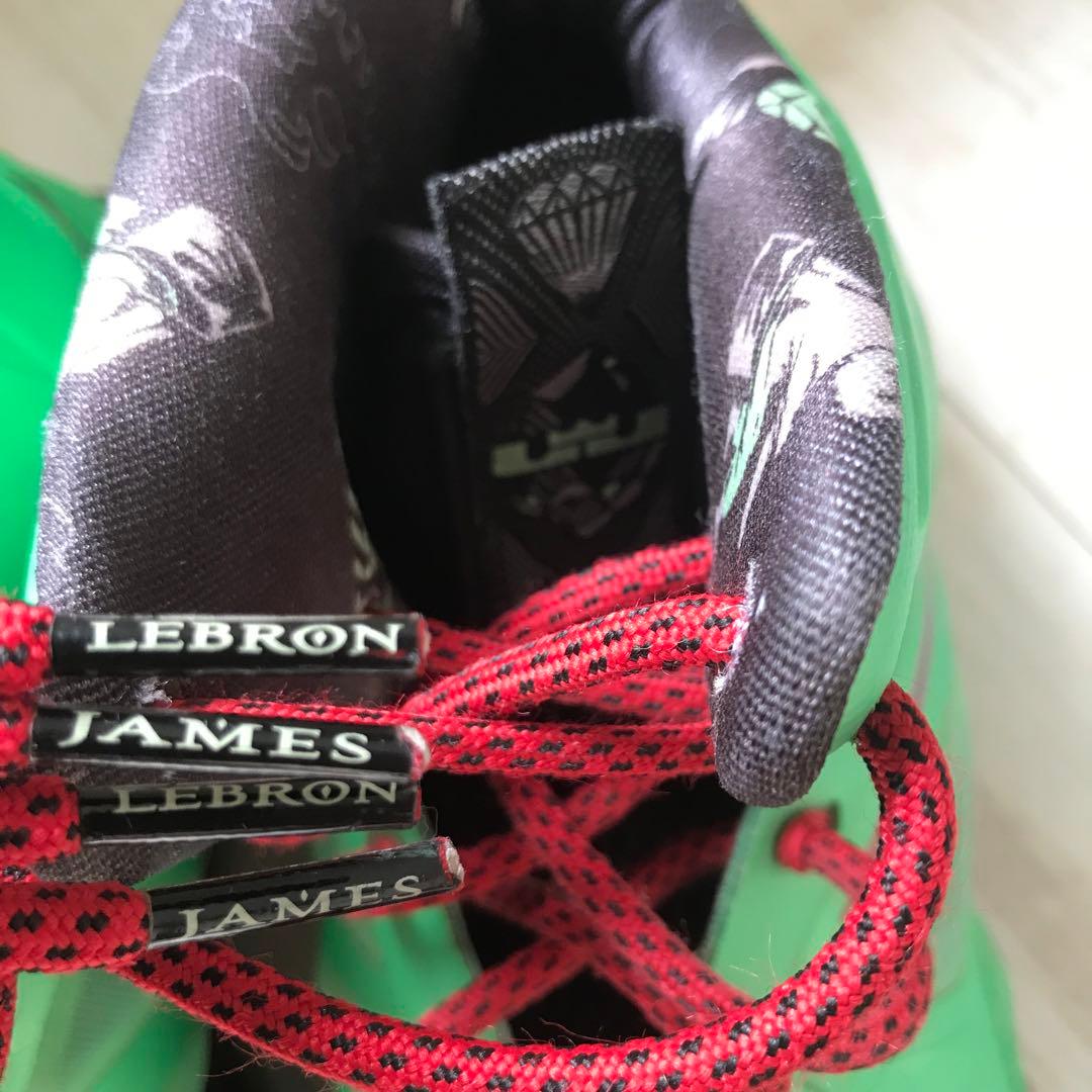 NIKE ナイキ28.5㎝　US10.5 レブロン10 中国限定モデル