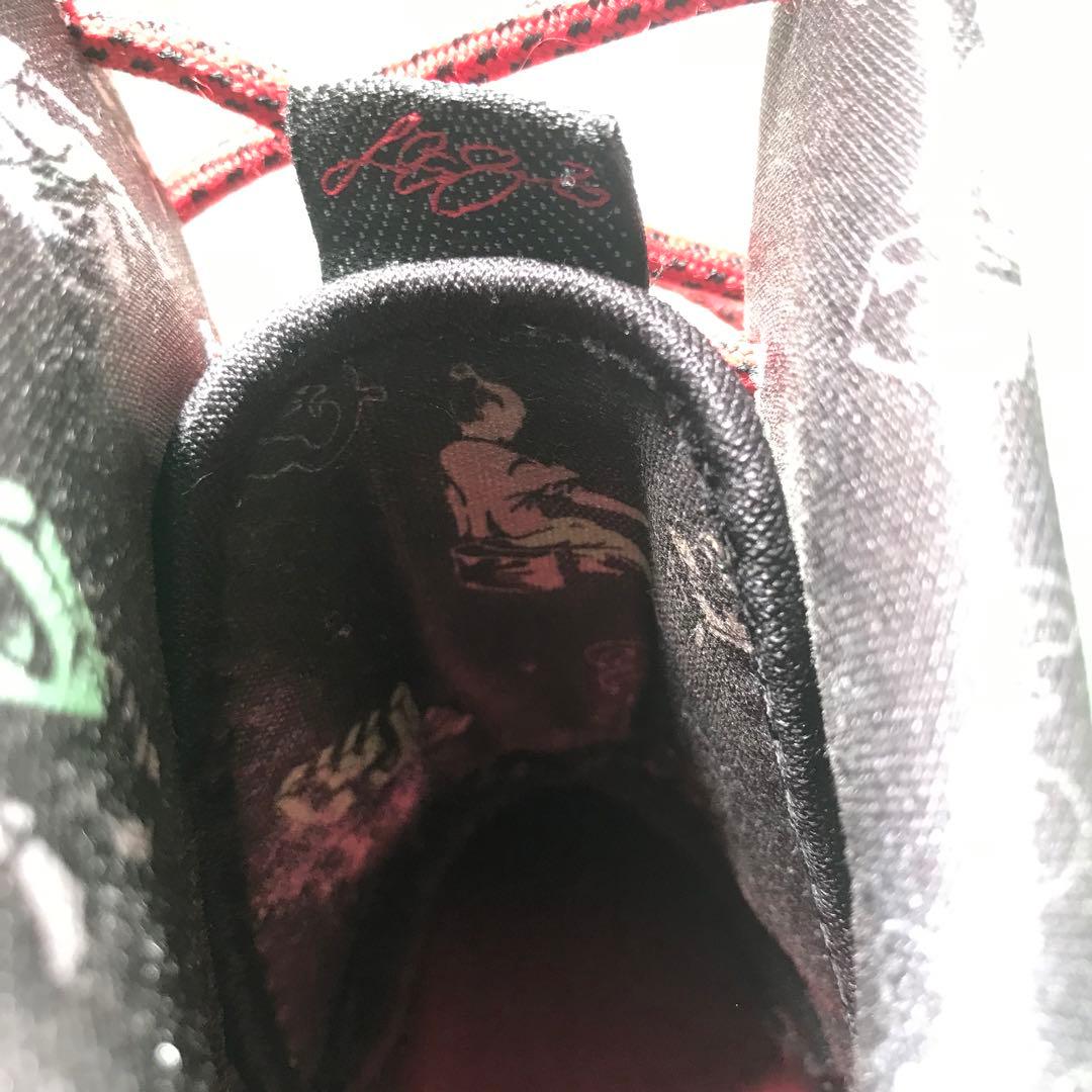 NIKE ナイキ28.5㎝　US10.5 レブロン10 中国限定モデル