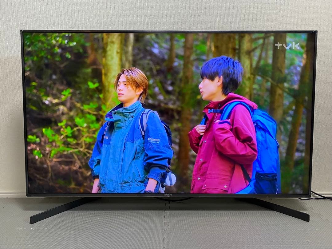 1都4県送料無料 SONY BRAVIA KJ-49X9500H 4K テレビ