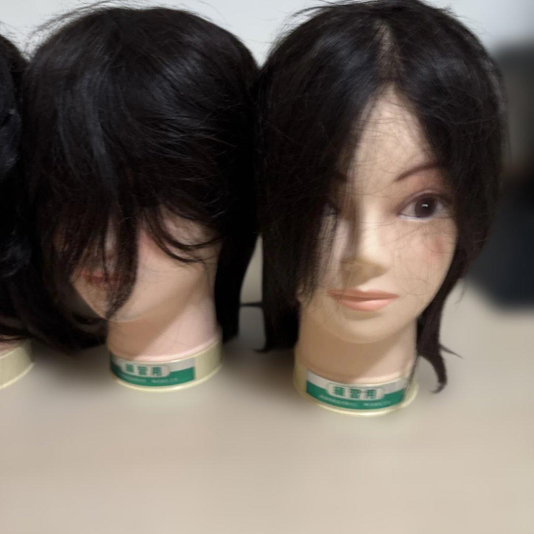 か*様 カットウィッグ　カットマネキン　パーマ 美容師練習用　国家試験用　12体