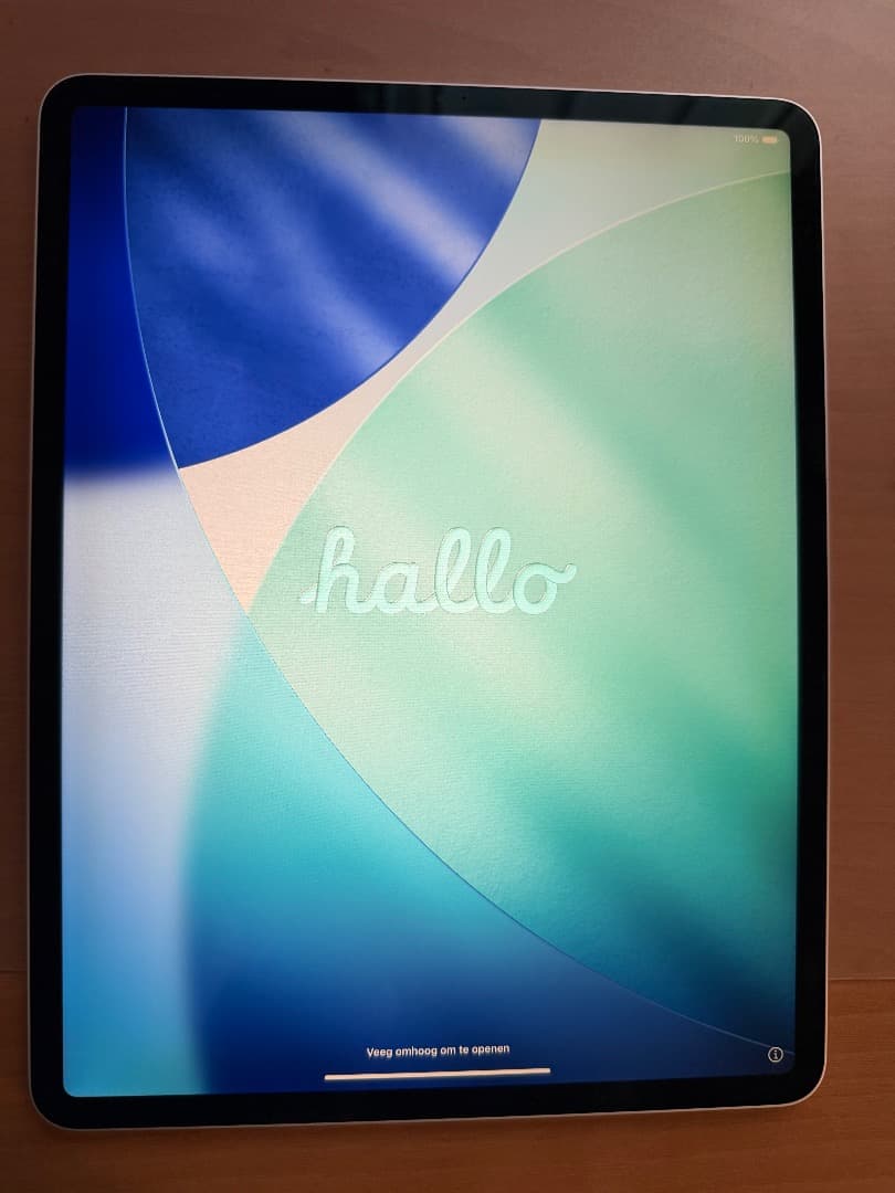 Apple iPad Pro 12.9 (第３世代）256GB　画面焼けあり