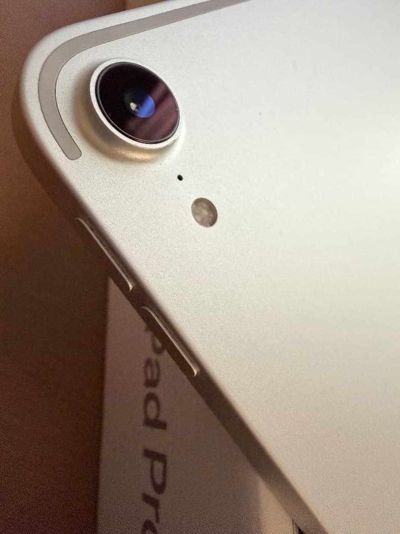 Apple iPad Pro 12.9 (第３世代）256GB　画面焼けあり