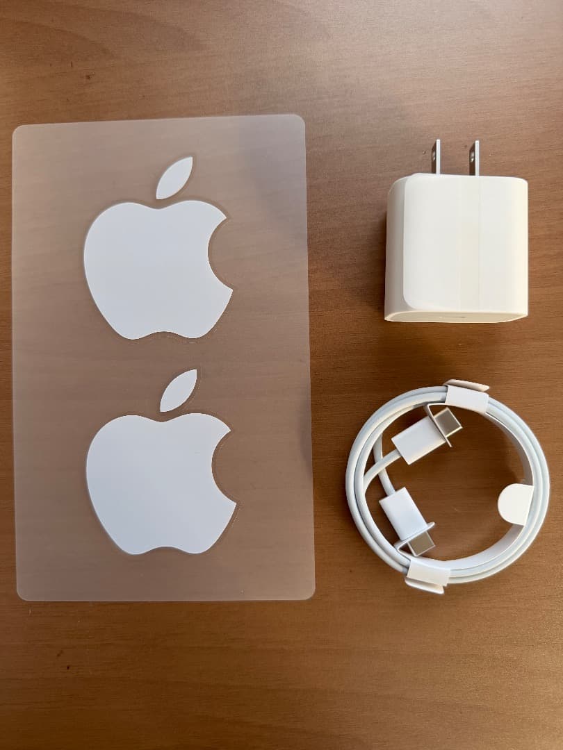 Apple iPad Pro 12.9 (第３世代）256GB　画面焼けあり