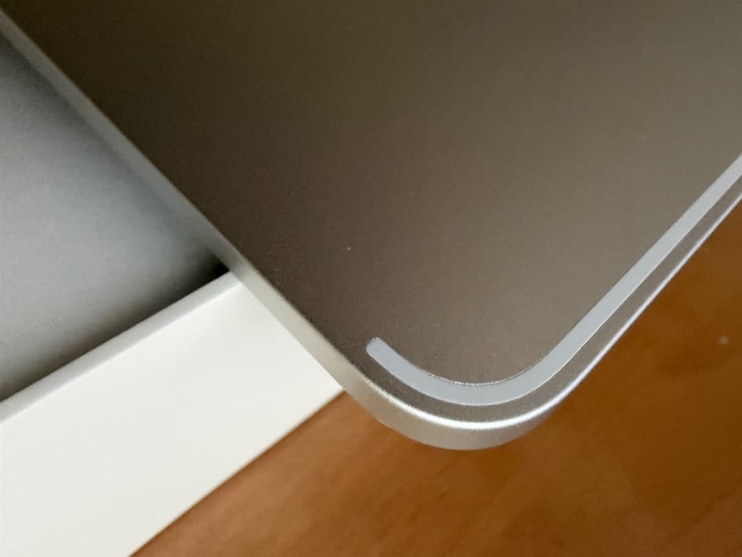 Apple iPad Pro 12.9 (第３世代）256GB　画面焼けあり