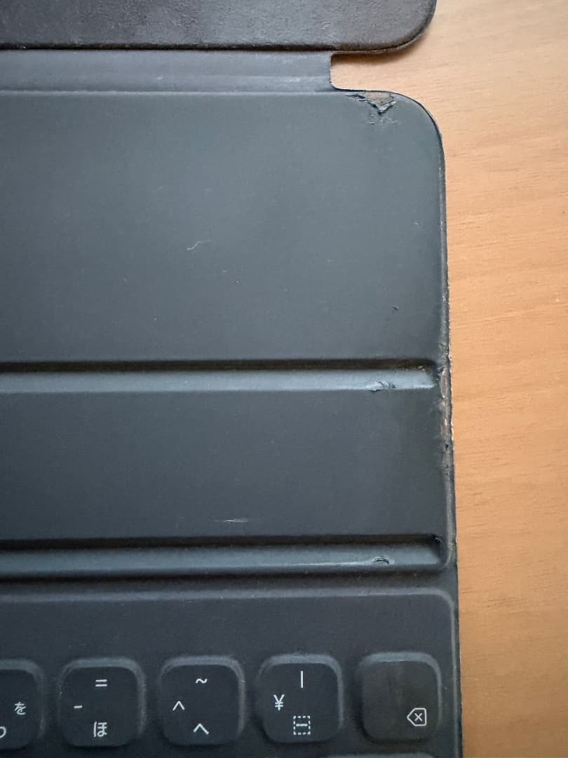 Apple iPad Pro 12.9 (第３世代）256GB　画面焼けあり