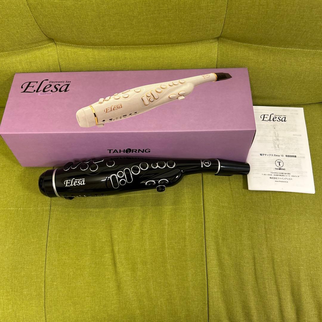 管楽器・吹奏楽器 TAHORNG Elesa10 Black