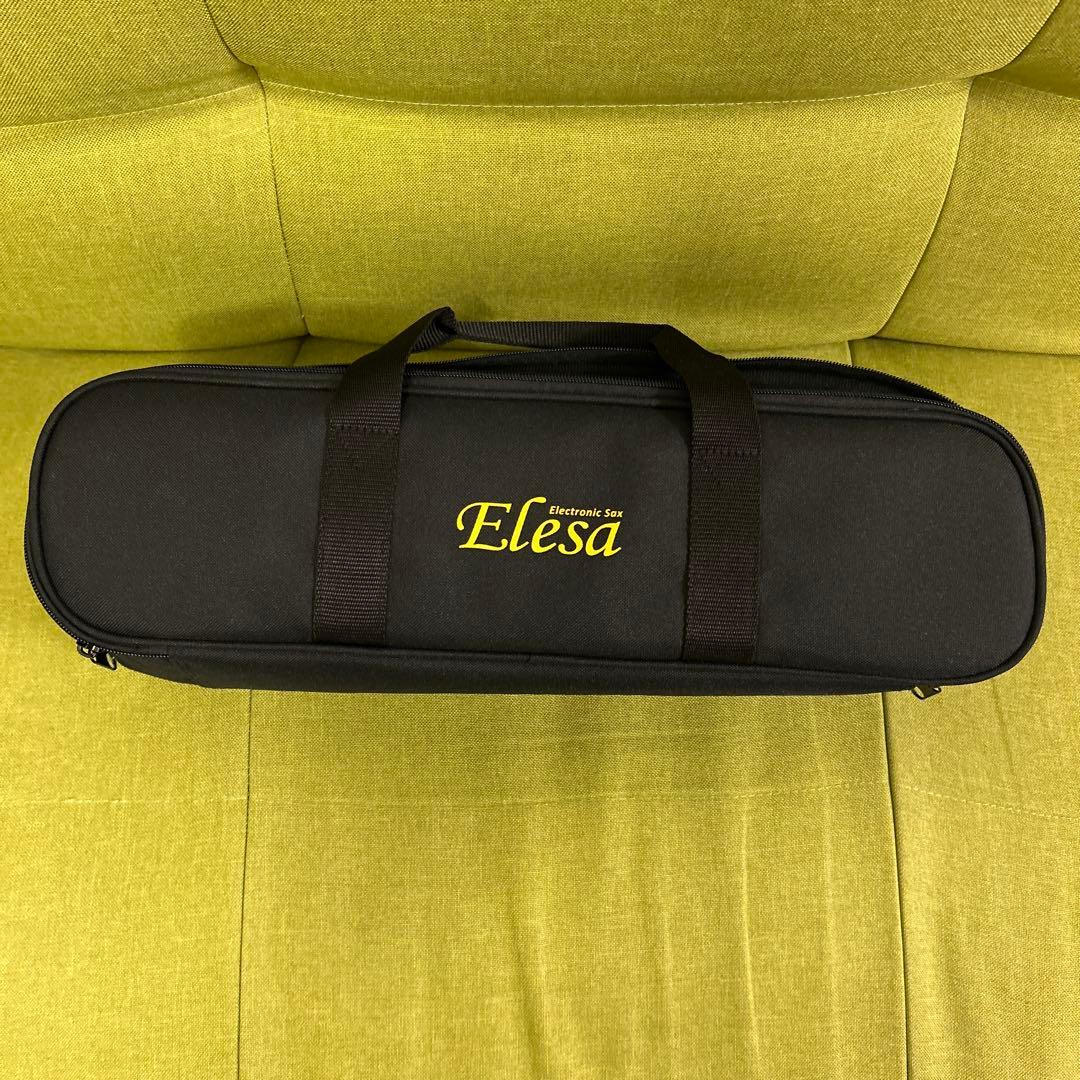 管楽器・吹奏楽器 TAHORNG Elesa10 Black