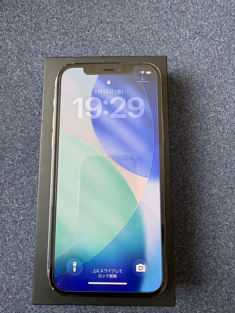 Apple iPhone12 Pro 256GBグラファイト 本体　SIMフリー