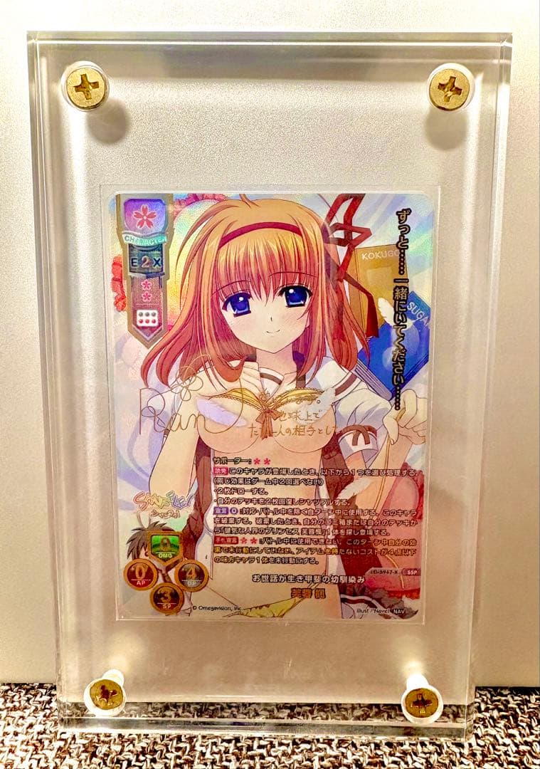 お世話が生き甲斐の幼馴染み 芙蓉 楓　ssp lycée