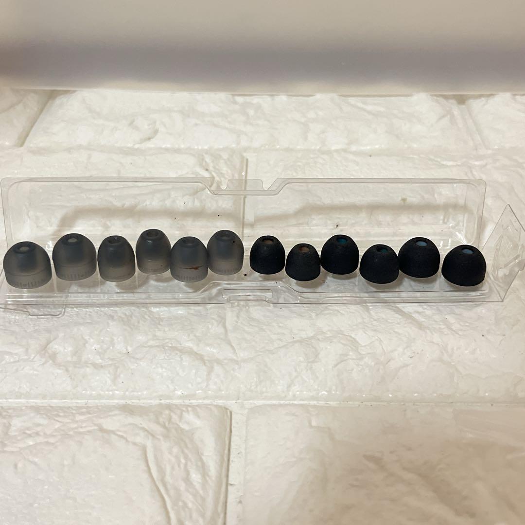 SONY ワイヤレスイヤホン ブラックWI-1000XM2