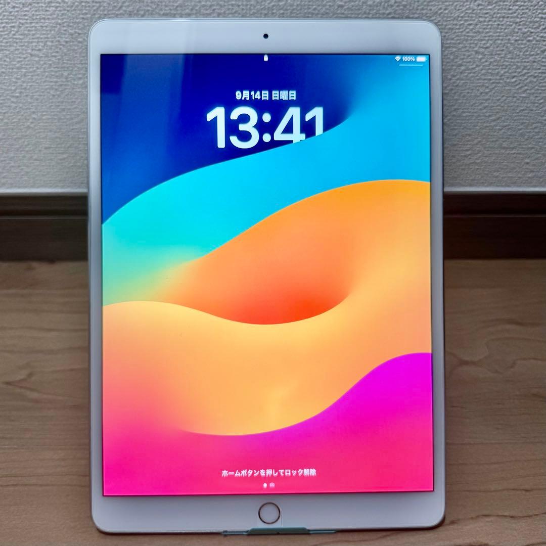 Apple iPadpro10.5インチ　アイパッドプロ
