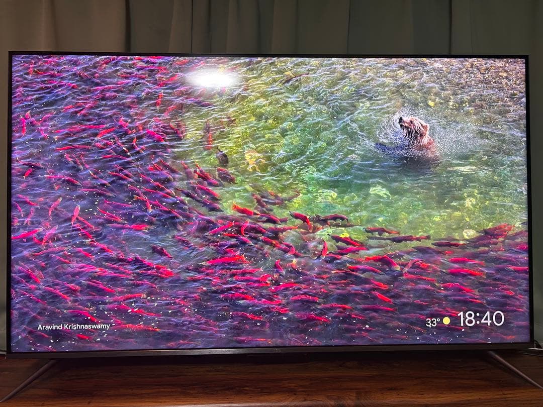 TCL 55V型 4K 量子ドットGoogle TV