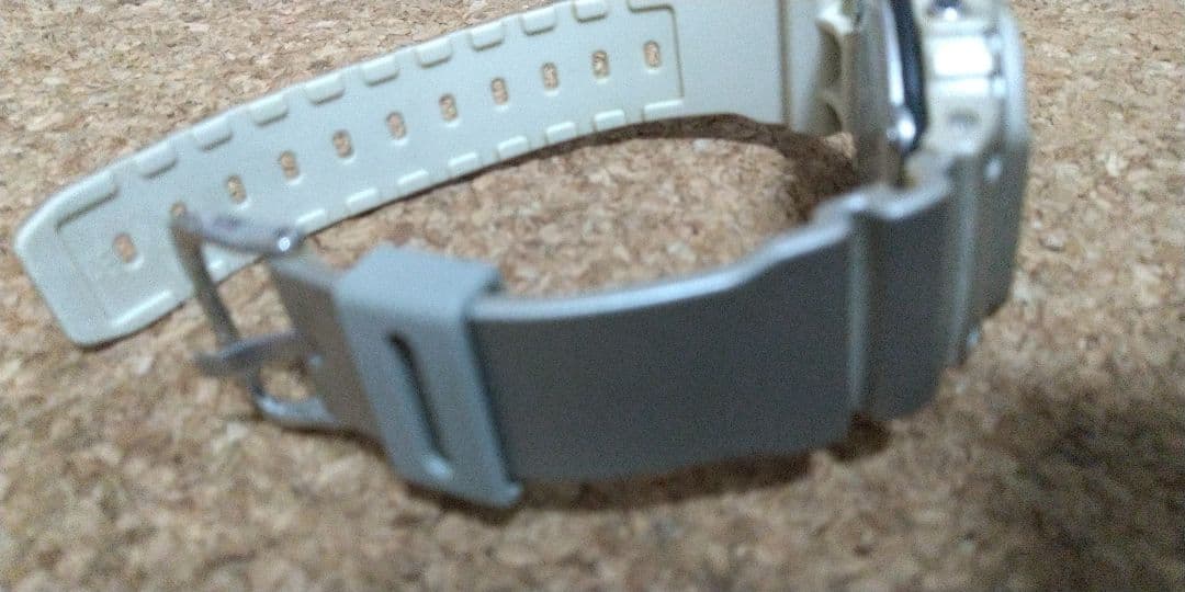 G-SHOCK DW-5600 サソリ スコーピオン カシオ