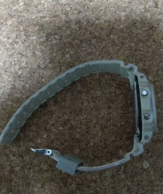 G-SHOCK DW-5600 サソリ スコーピオン カシオ