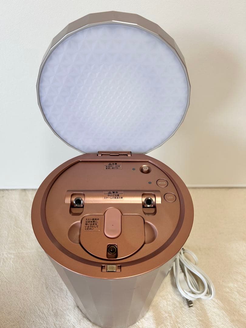 1213 YA-MANヤーマン フォトスチーマー IS-100P