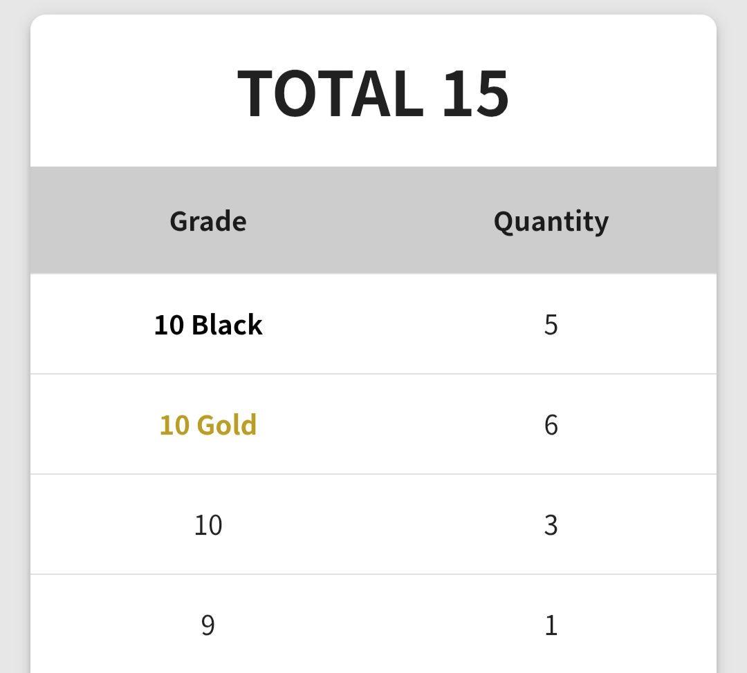 【希少★即購入可】ONE PIECE DAY'25 Gemix 10 BLACK