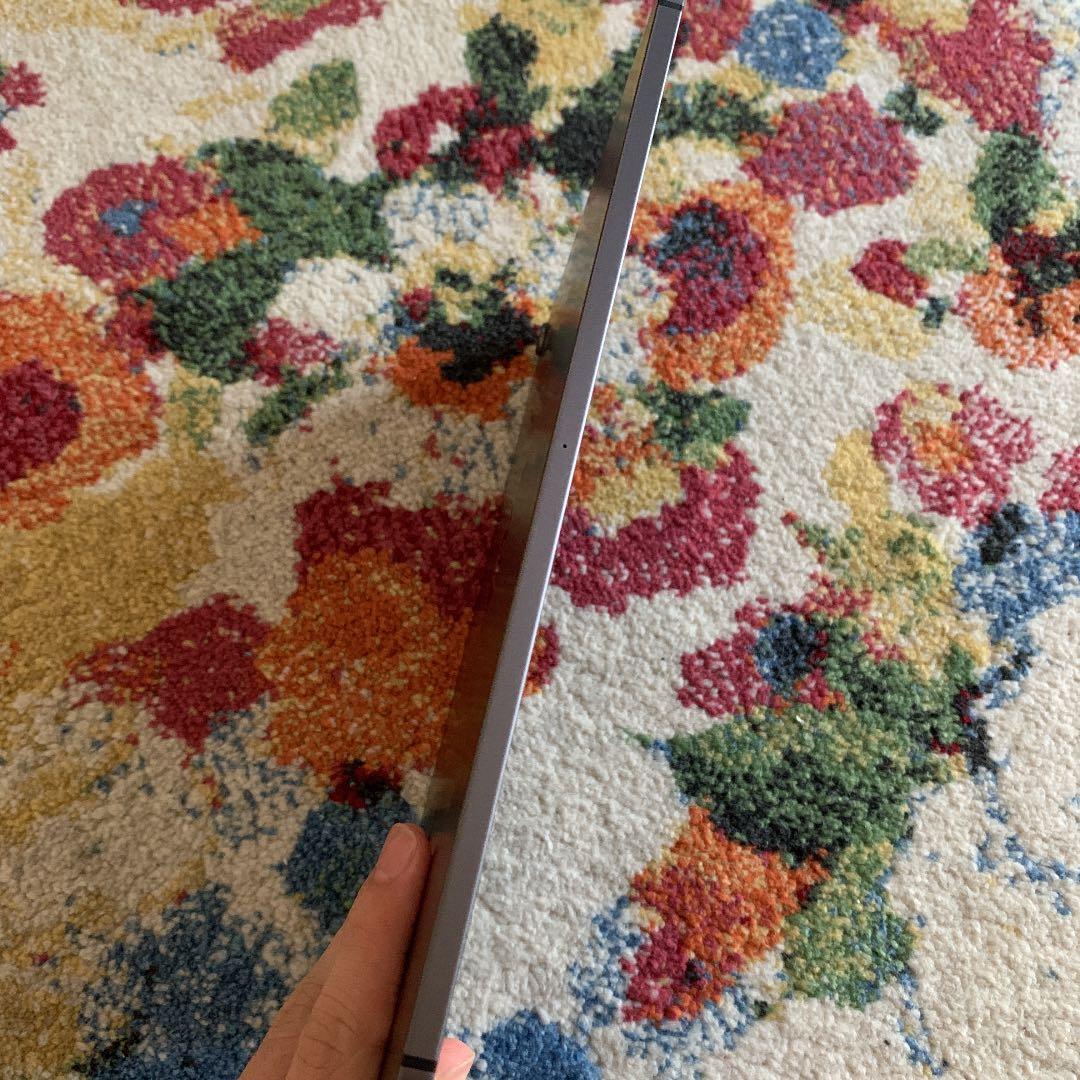 【美品】iPad Pro (第1世代) 11インチ 64GB  セルラーモデル