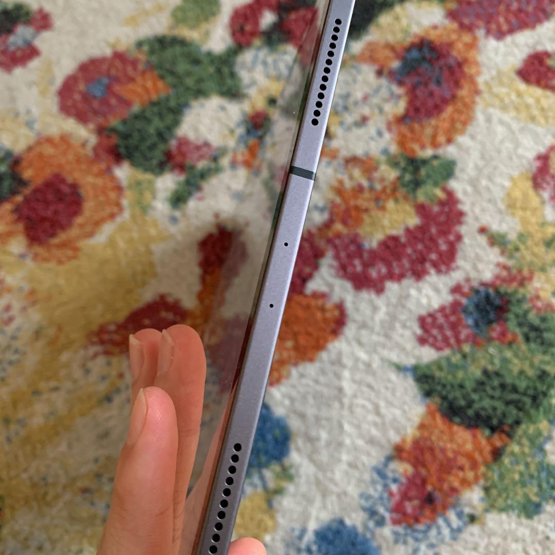 【美品】iPad Pro (第1世代) 11インチ 64GB  セルラーモデル